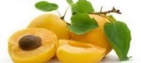 ارزش غذایی زرد آلوی خشک و تازه