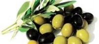 خواص زیتون سبز و سیاه