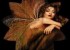 شعر در مورد بی حرمتی گلشیفته فرهانی