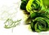 جمله ای که هم مداد است هم پاک کن !!