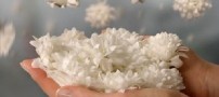 مناجات با خدا به زبان انگلیسی با ترجمه فارسی