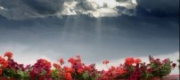 شعرهای کوتاه و زیبا از شاعران مشهور ایران