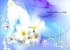 موفق ترین الگو برای تو …