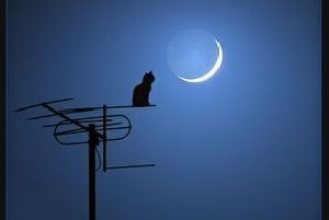 اس ام اس های بسیار زیبا و با معنا
