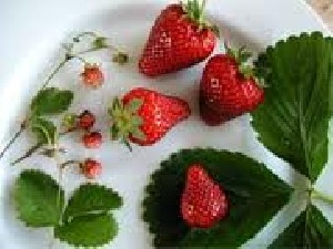 خواص توت فرنگی چیست