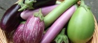 خواص خوراکی و دارویی بادمجان