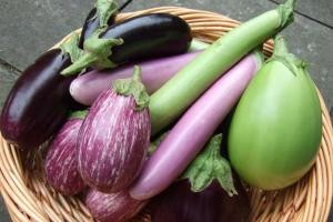 خواص خوراکی و دارویی بادمجان خواص خوراکی و دارویی بادمجان