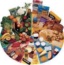 اصول برنامه ریزی غذایی