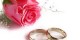 قائده ای جالب و مخصوص ازدواج دختر و پسرها