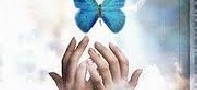 4 ماجرای باورنکردنی و خواندنی در غسالخانه