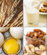 آموزش تهیه شیر از آجیل آلات آموزش تهیه شیر از آجیل آلات