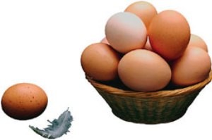 تخم مرغهای شناسنامه دار کیلویی 7000 هزار تومان!