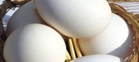 آغاز روند کاهش قیمت تخم مرغ