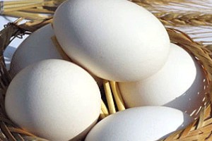 آغاز روند کاهش قیمت تخم مرغ آغاز روند کاهش قیمت تخم مرغ