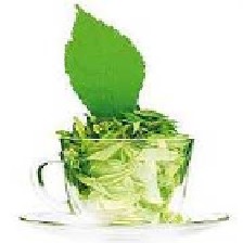 روش مصرف چای سبز برای لاغری روش مصرف چای سبز برای لاغری