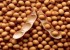 سلاحی خوراکی در برابر سرطان روده
