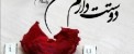جمله دوستت دارم به 100 زبان مختلف دنیا