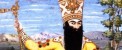 پادشاهی در ایران با ۱۸۹ همسر و ۱۴۴ پسر