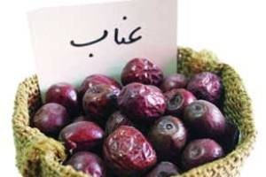 خواص عناب