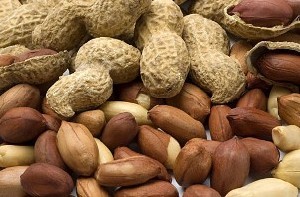خوارکی هایی برای افزایش شیر مادر خوارکی هایی برای افزایش شیر مادر