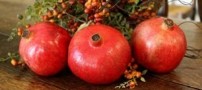 خواص و فواید بی نظیر رب انار