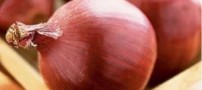 آن چه در مورد پیاز نمی دانستید