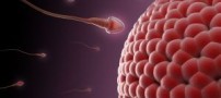 رابطه جنسی و نقش مهم آن در تخمک گذاری