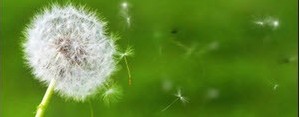 بهترین زمان ورزش کردن افراد مبتلا به آلرژی بهاری