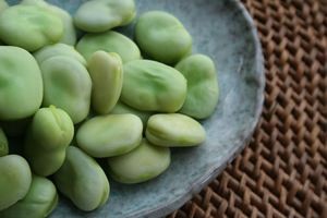 تشدید بیماری و حساسیت با خورن باقلا تشدید بیماری و حساسیت با خورن باقلا