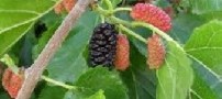 چرا خداوند به همه روزی یکسان نمی دهد
