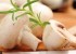 راهنمای مهم استفاده از قارچ