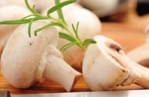 راهنمای مهم استفاده از قارچ