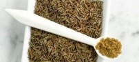 بهترین و قویترین ضد نفخ گیاهی