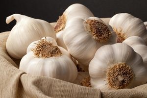 نوشیدنی برای رفع بوی بد سیر نوشیدنی برای رفع بوی بد سیر