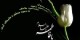 وصیت نامه‌ حضرت فاطمه زهرا (س)
