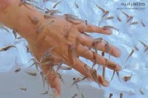 راهنمای ماهی درمانی با Dr.fish!!