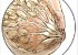 آبسه سینه و روش درمان آن