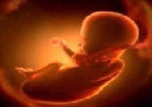 آیا جنین محیط اطراف خود را می بیند و حس می کند!