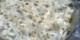 طرز تهیه دسر بیسکوئیت