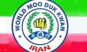 آموزش و آشنایی با ورزش سوناک آموزش و آشنایی با ورزش سوناک