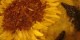 آش مخصوص افطار و طرز تهیه آن