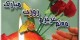 اس ام اس های جدید روز معلم