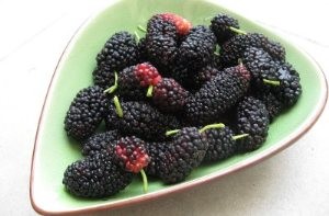 میوه ای با قوی ترین خاصیت آنتی اکسیدانی!! میوه ای با قوی ترین خاصیت آنتی اکسیدانی!!